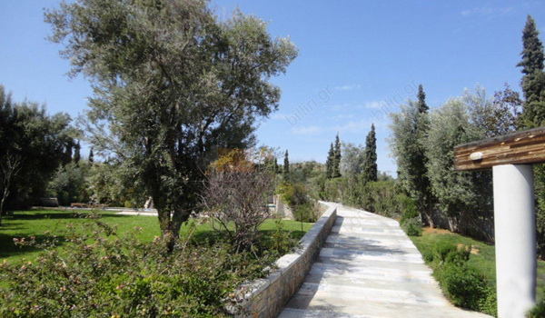 Εξωτερική όψη - Outdoor view
